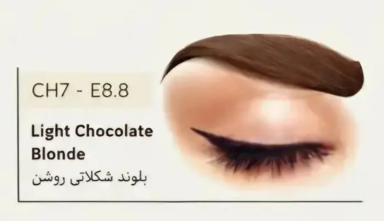 کیت رنگ ابرو سانتکس مخصوص رنگ کردن ابروها